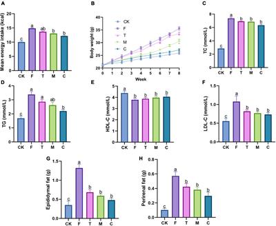 Differential regulation and preventive mechanisms of green tea powder with different quality attributes on high-fat diet-induced obesity in mice